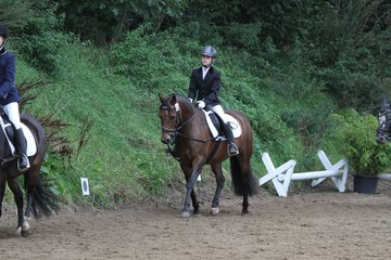 Bild 1093 - WBO-Turnier am 18.9.11